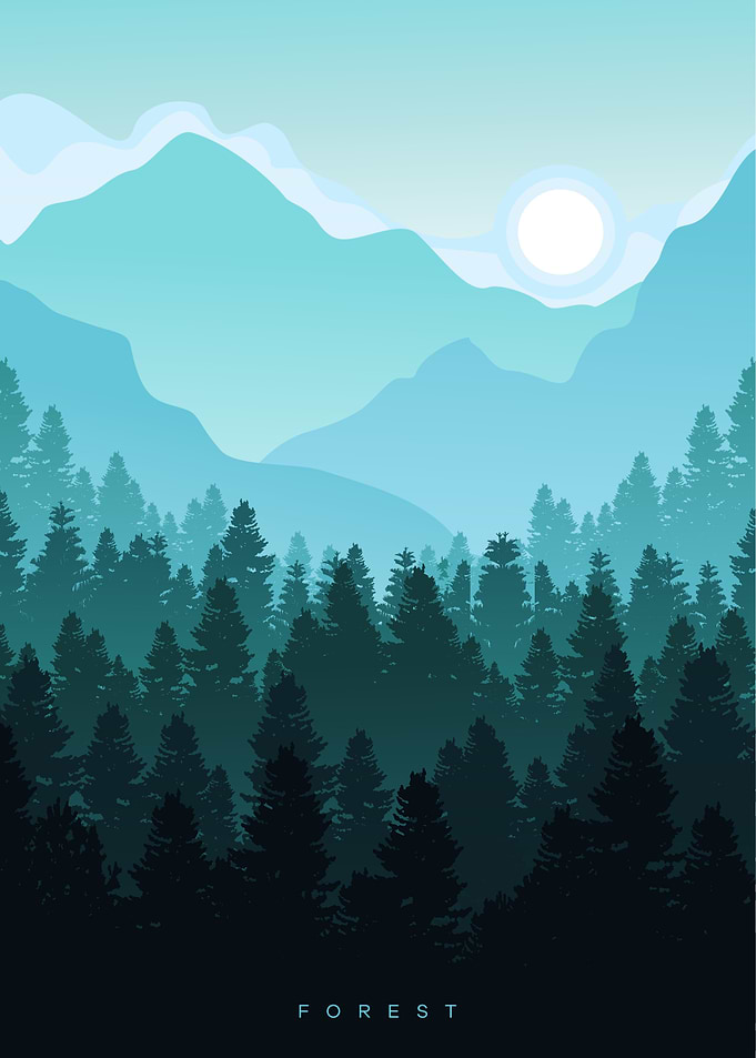 BLUE MOUNTAIN FOREST