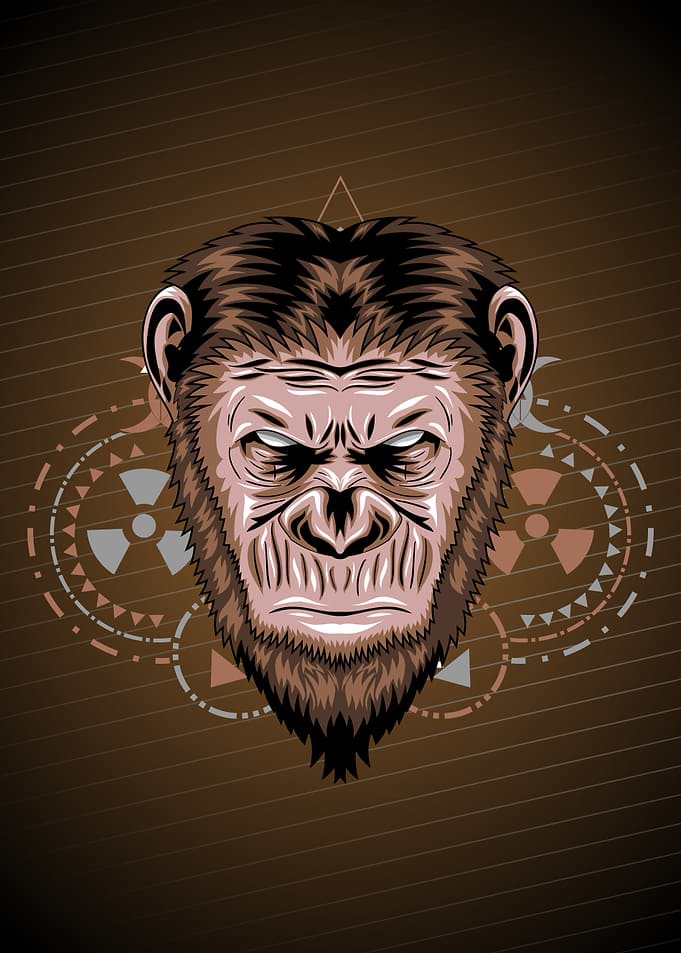 chimp geometric