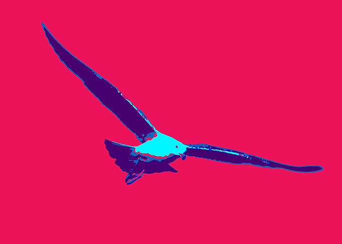Seagull 02
