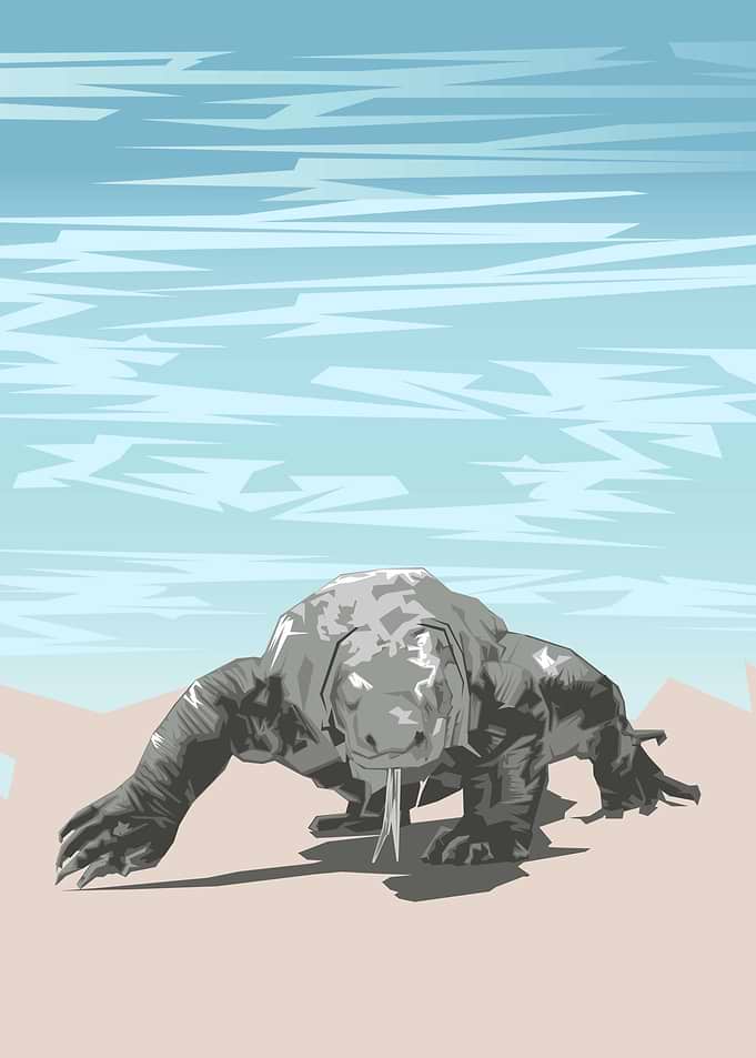 komodo on the beach