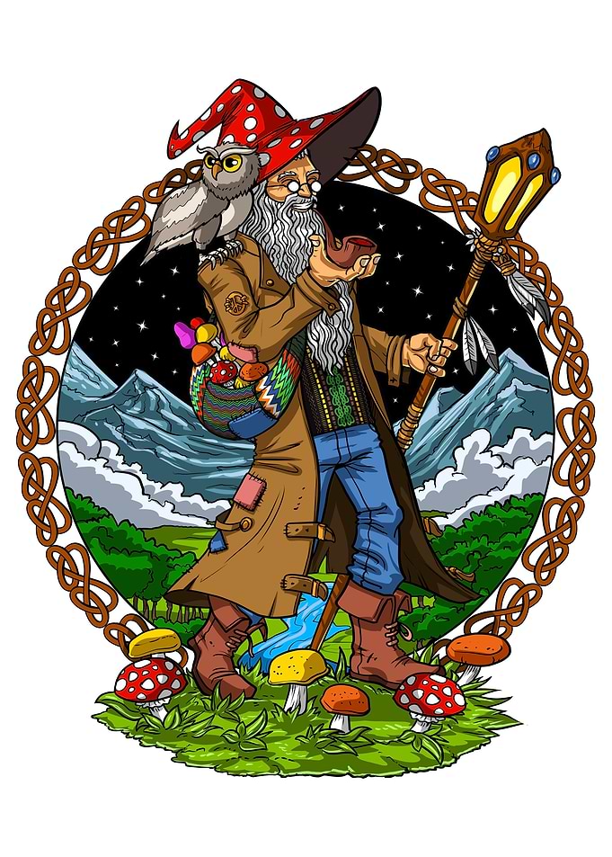 Hippie Mushroom Wizard