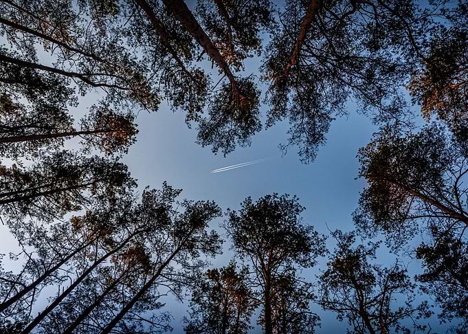 A Plane in the Sky