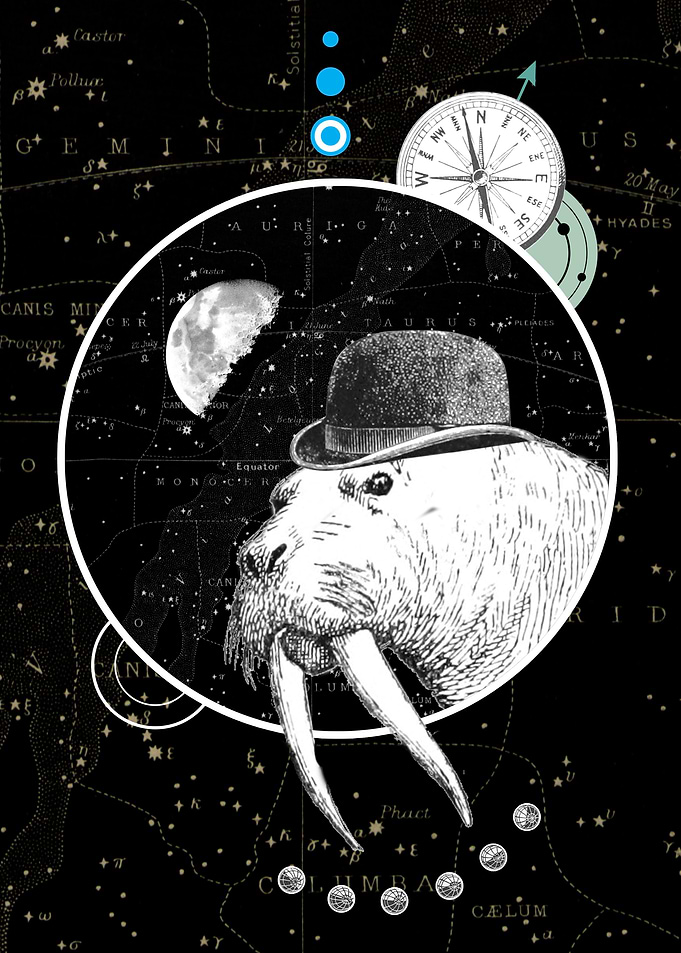 Space walrus