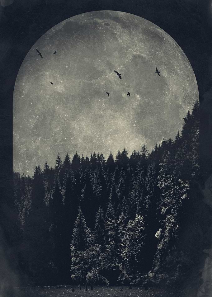 Moon light 4