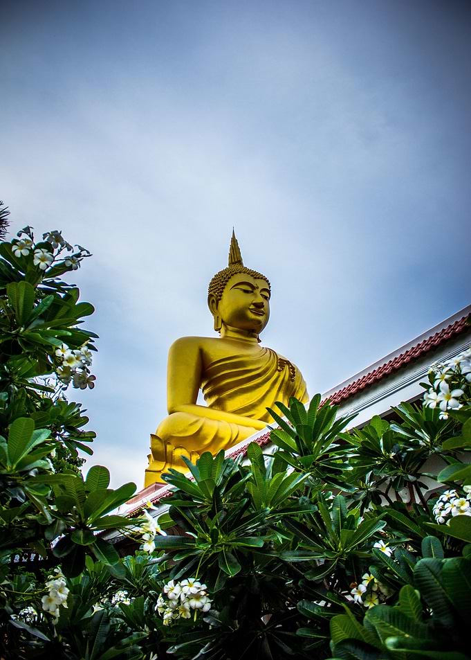 gautama gold buddha