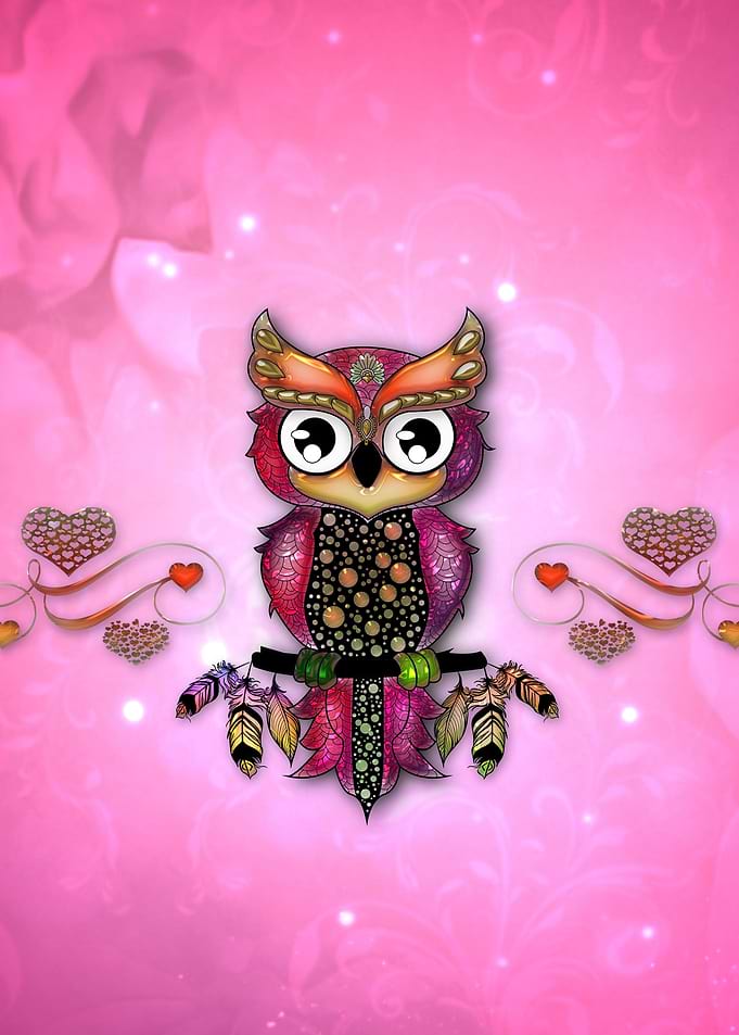 Cute owl