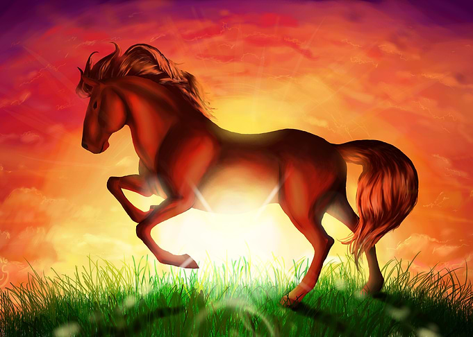 Burning Light Sunset Horse