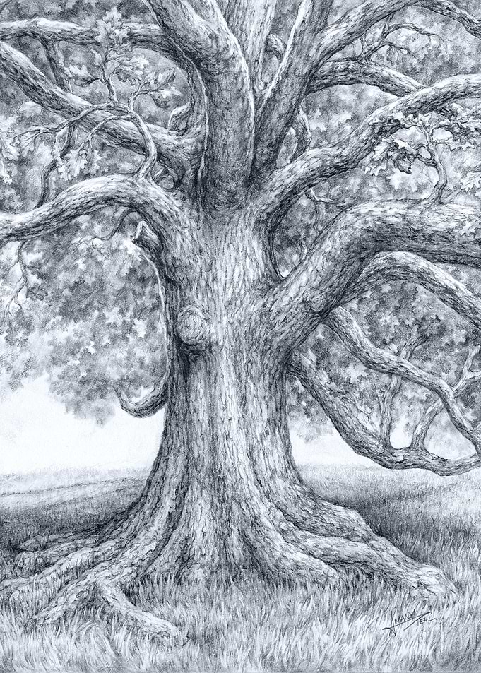 The Birthing Tree
