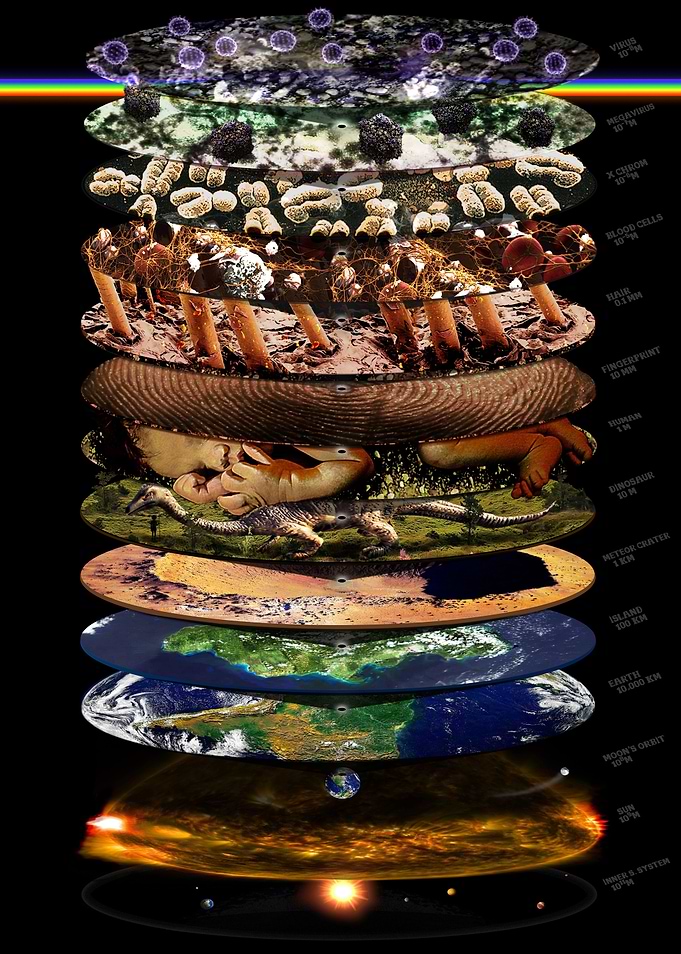 SCALES OF EVERYTHING 2