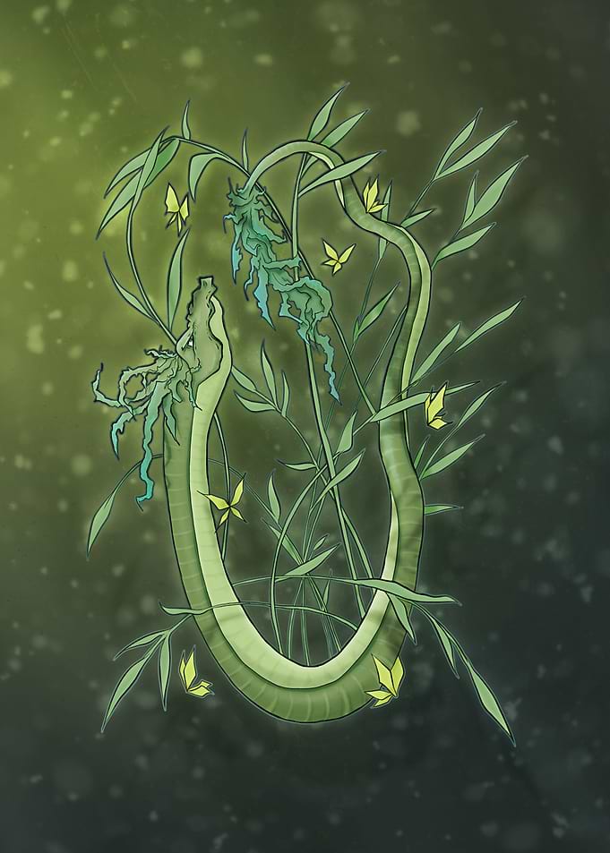 Bamboo Dragon