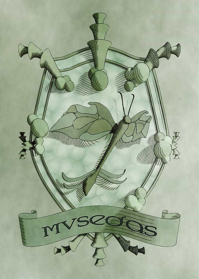 Musedas Exquisite