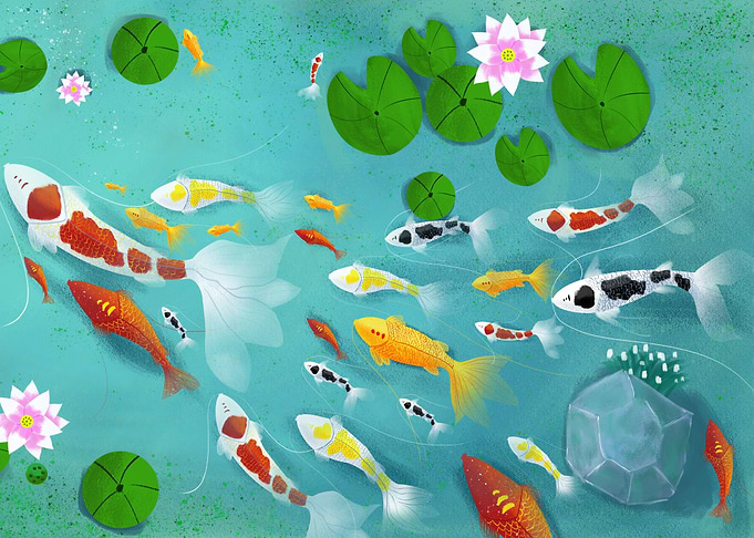 Pond Fishes with Lotus