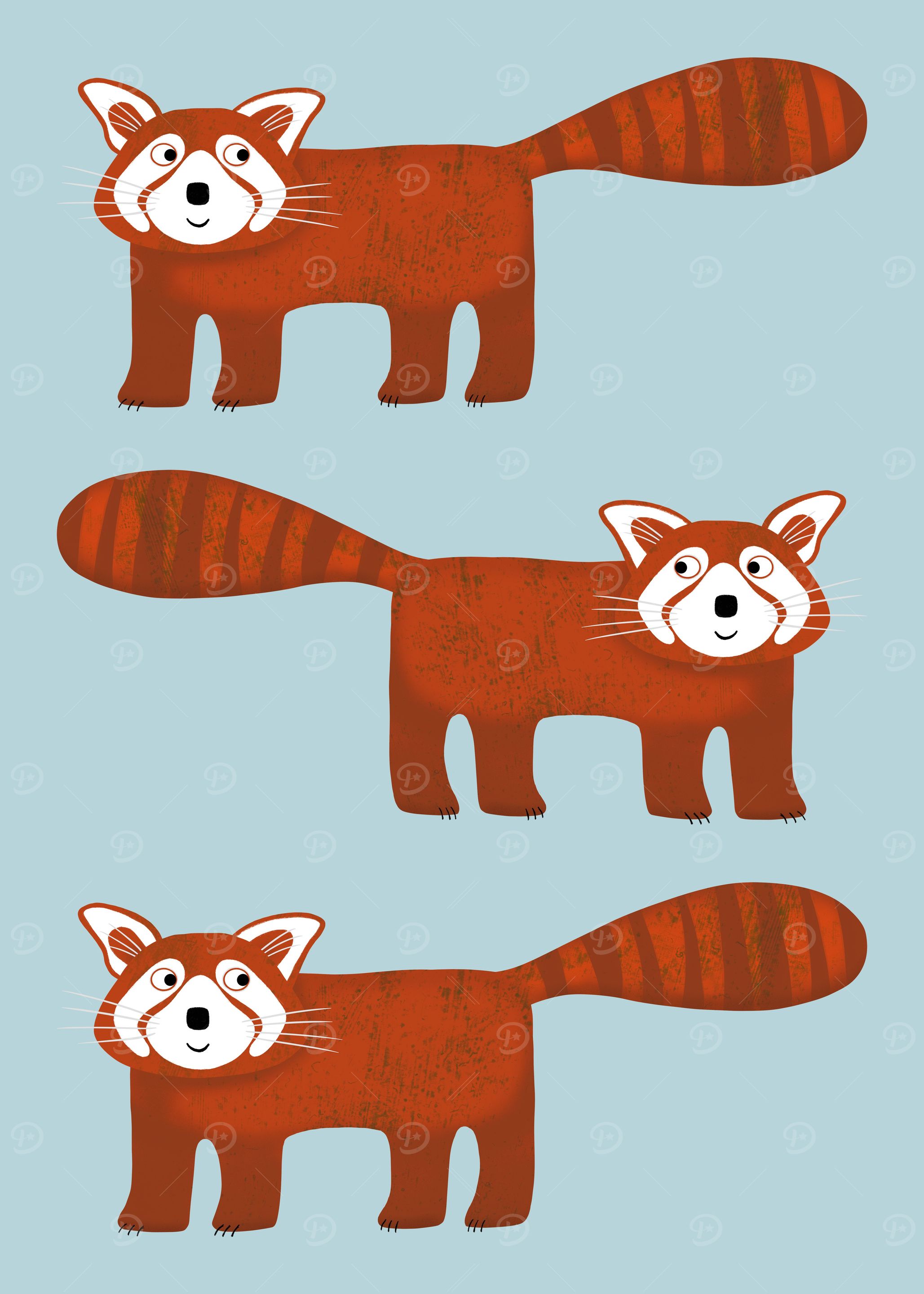 Red Panda