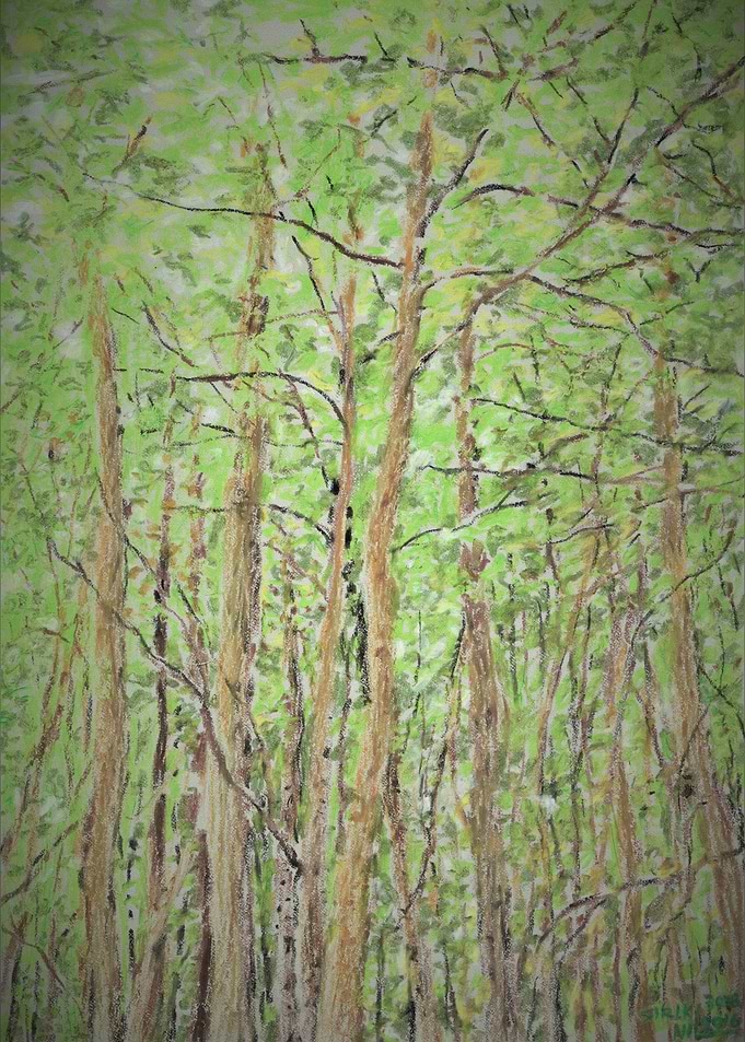 Green Woods