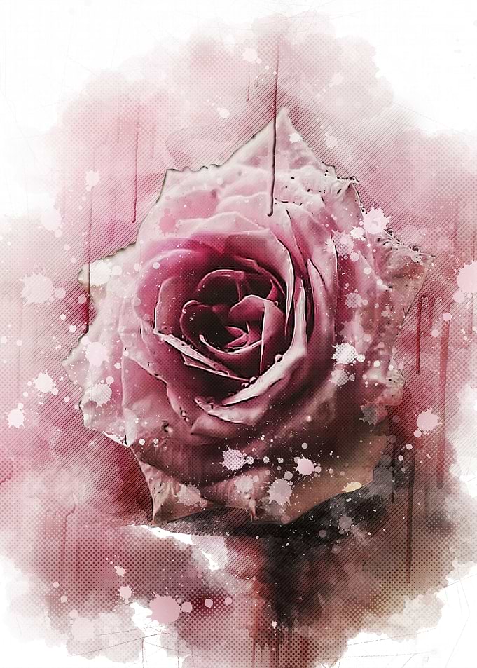 rose paintings