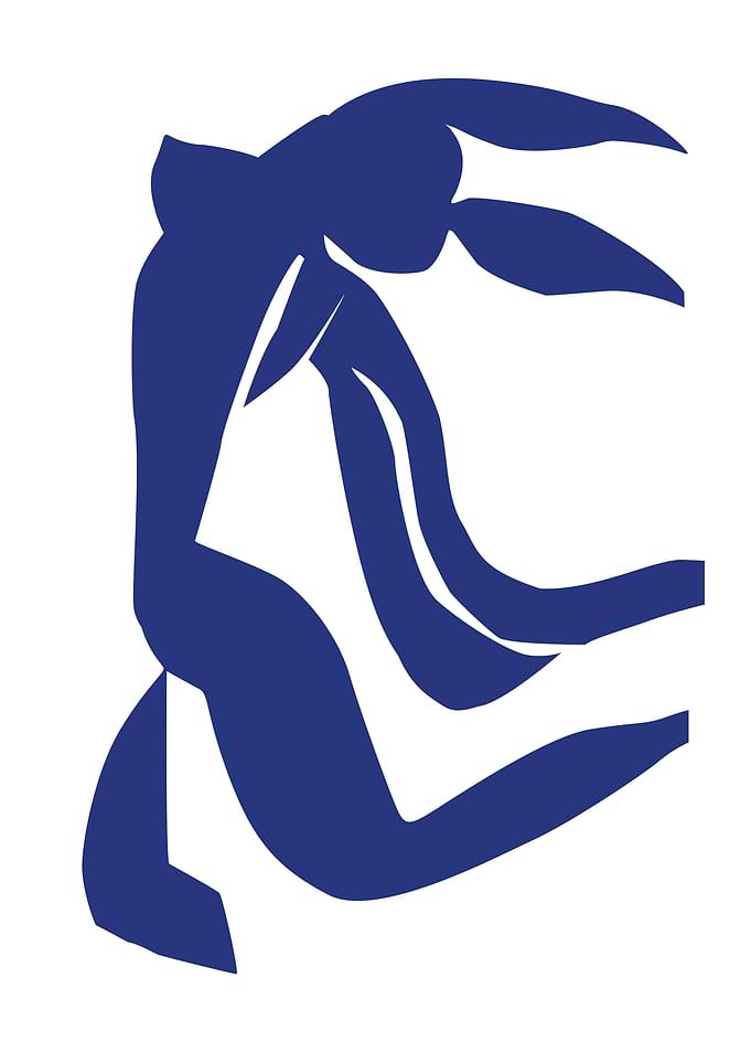 Matisse abstract woman