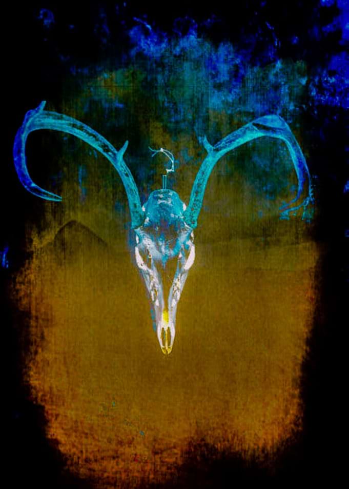 Vibrant Skull