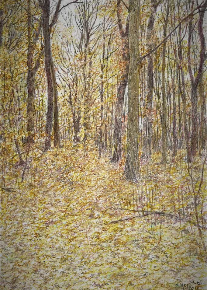 Autume Leaves