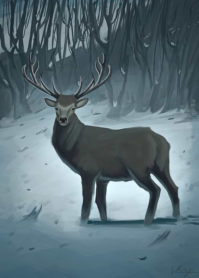 Winter Deer
