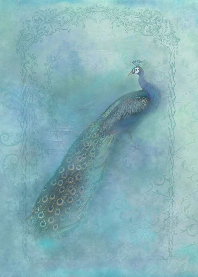 The Magical Peacock