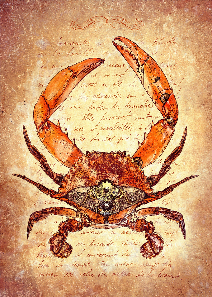 Crab