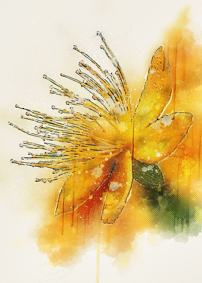 Flower Painting