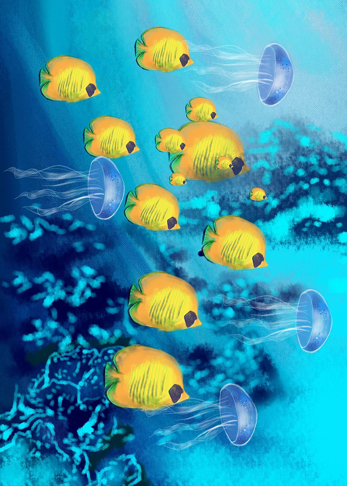Fishes and Jellyfishes
