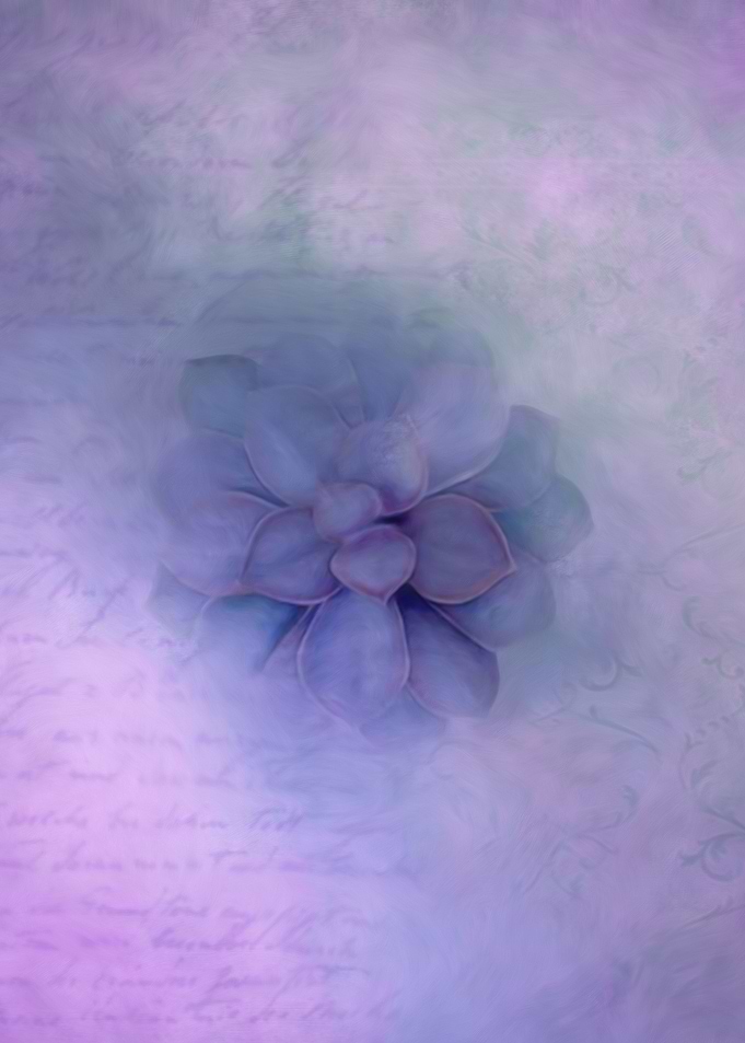 Lavender Succulent
