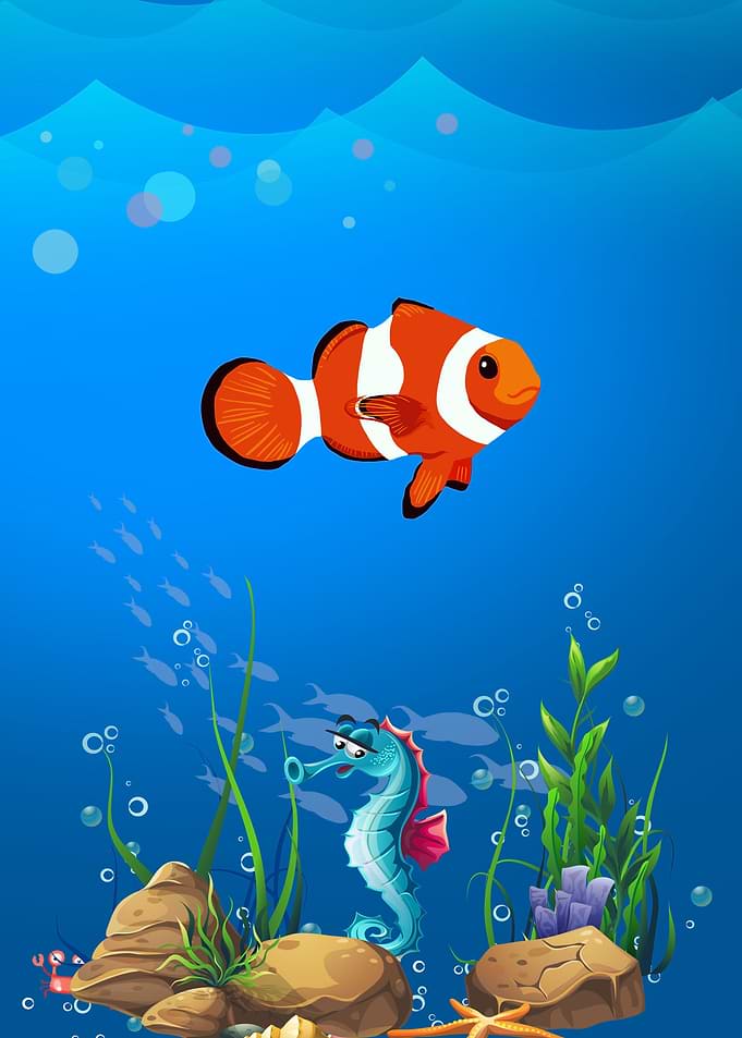 Seahorse and Clownfish