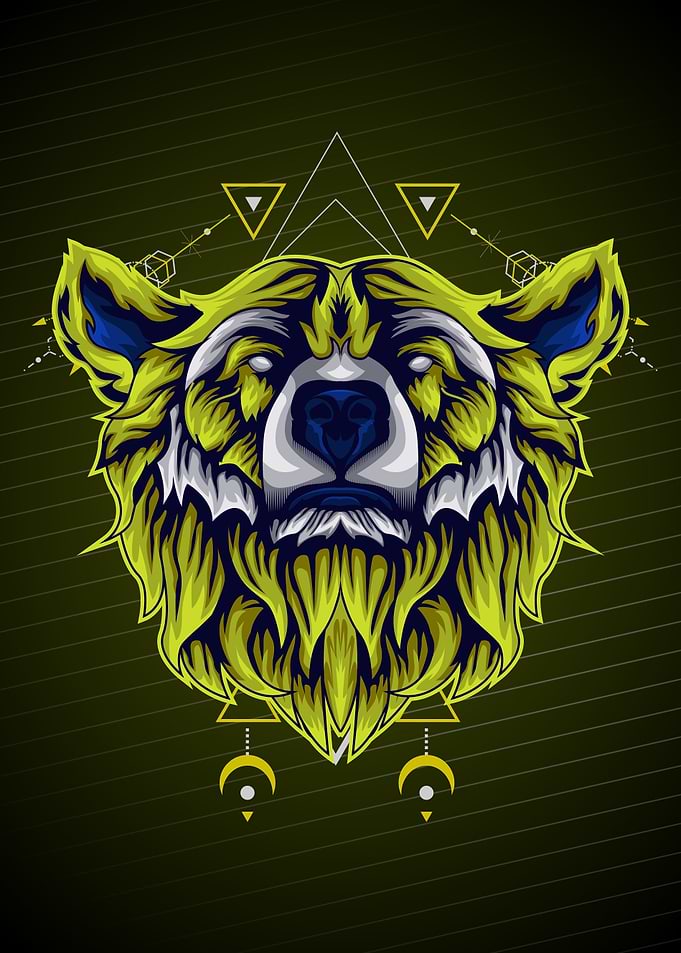 BEAR GEOMETRY