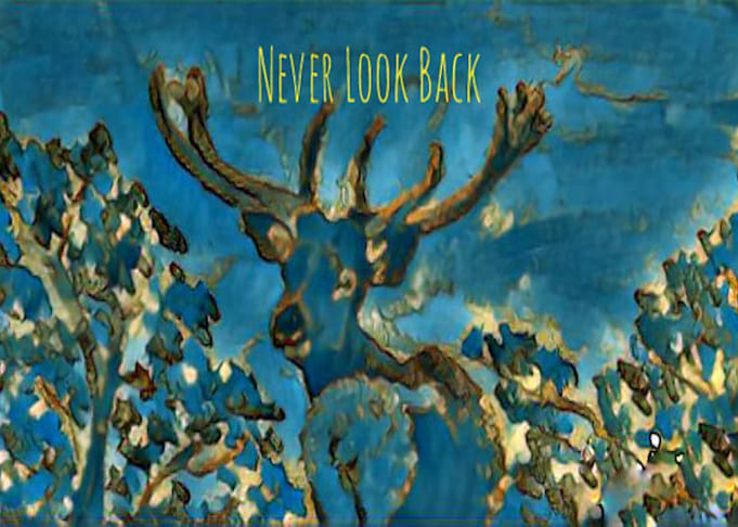 Elk Never Look Back