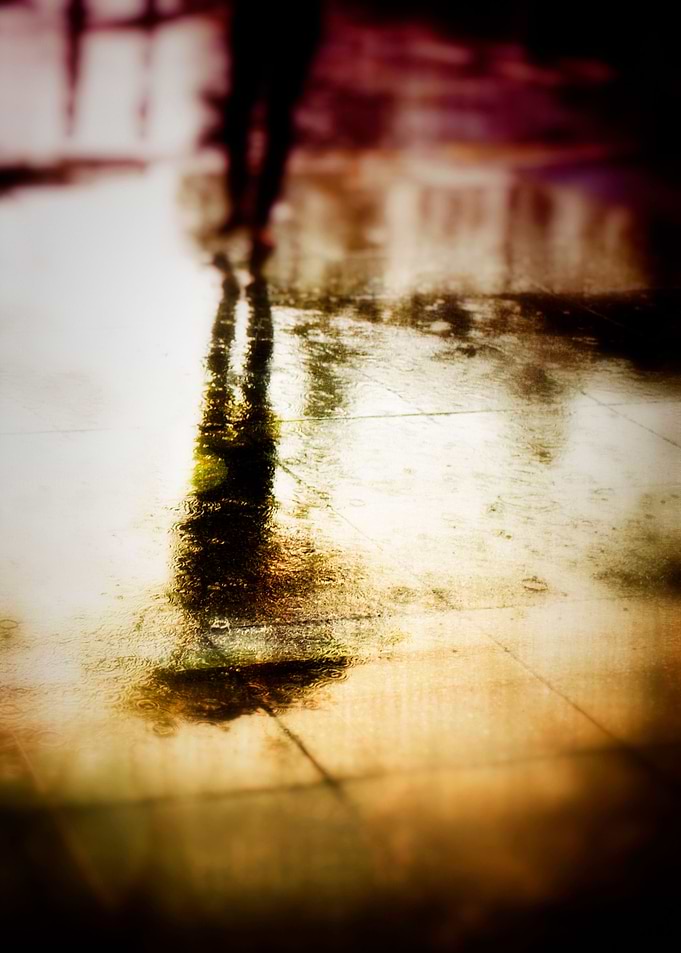 Rainy day reflections