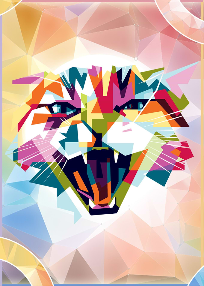 Crazy Cat Colorful Animal