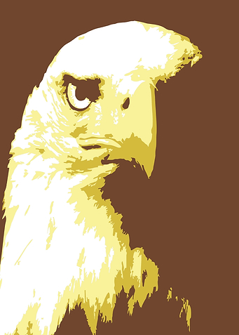 Eagle Pop Art v3