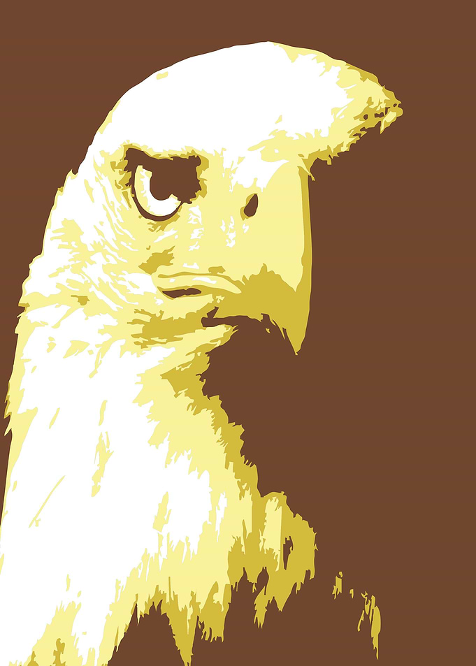 Eagle Pop Art v3