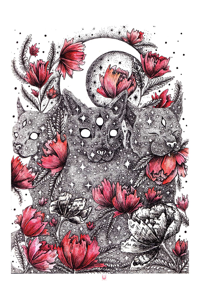 Noctem