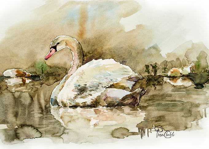 The Swan