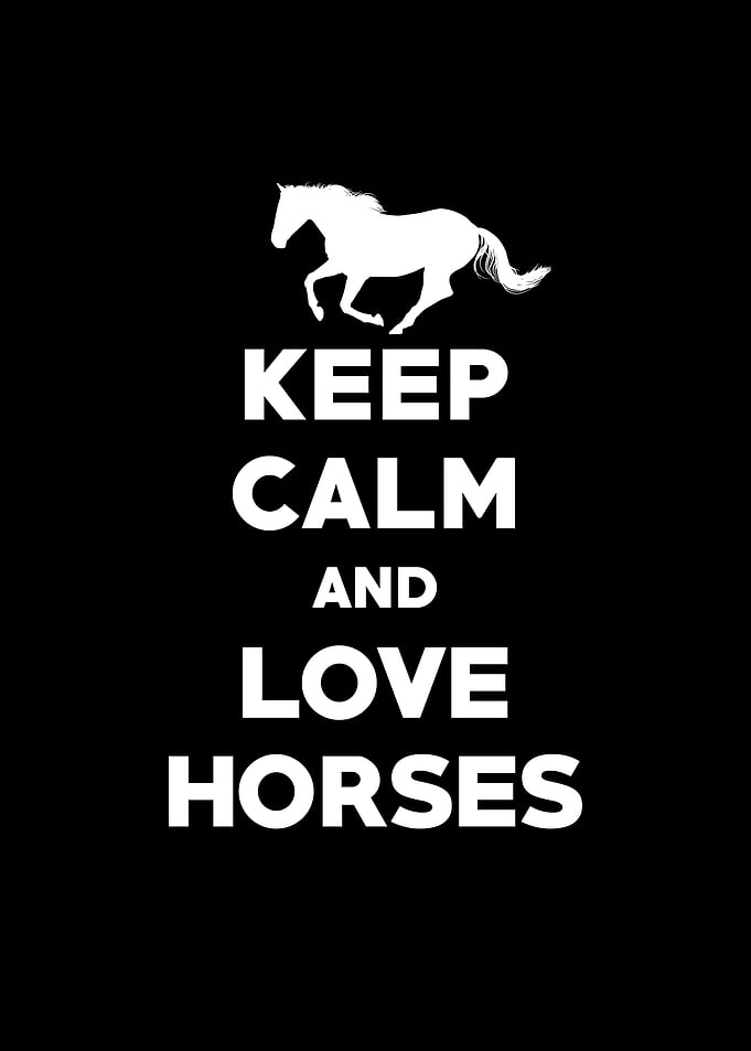 Keep Calm And Love Horses