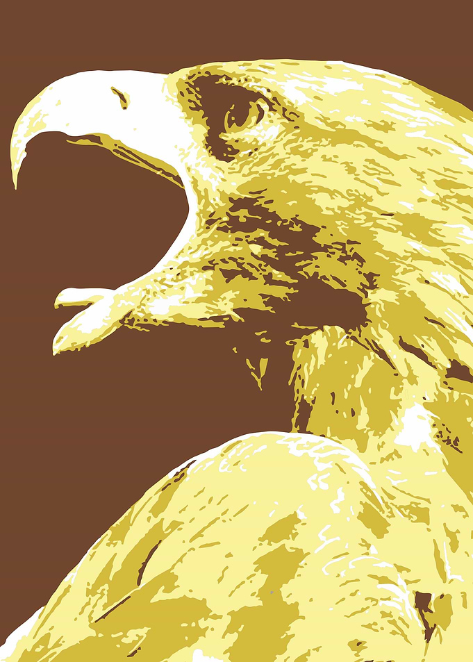 Eagle Pop Art v4