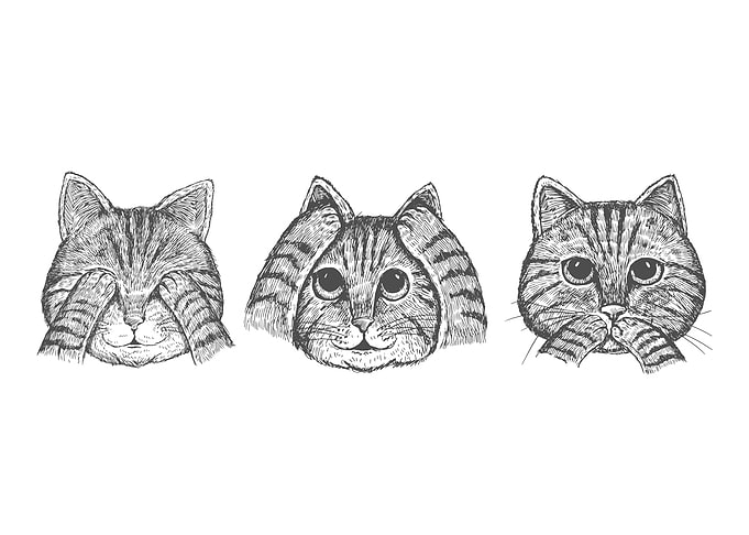 3 wise cats