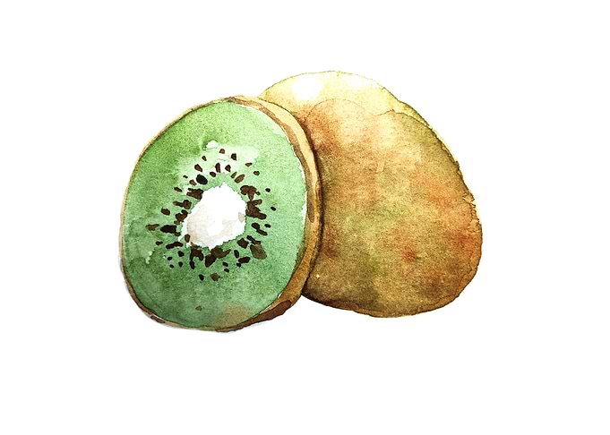 Fruit