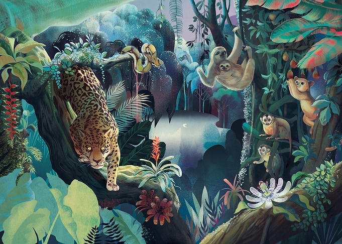 Rain Forest