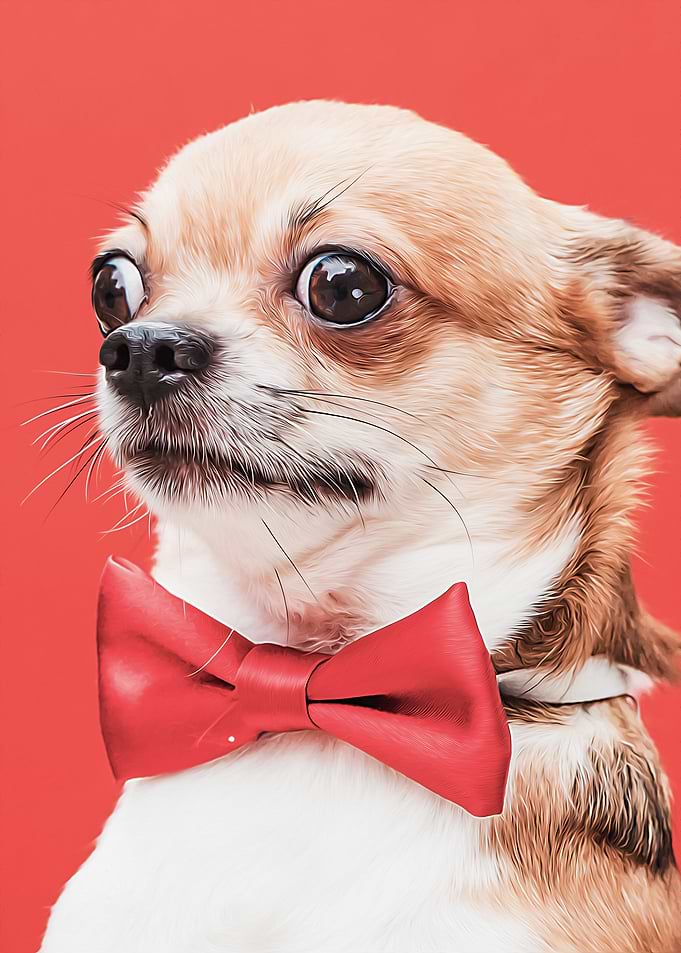 Chihuahua With Bowtie