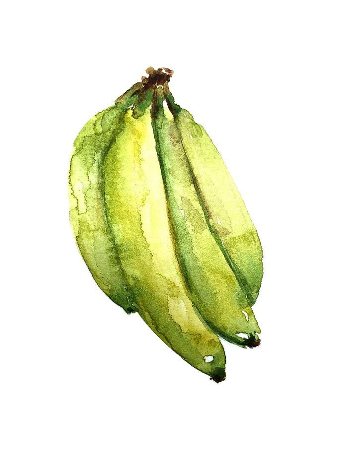 Fruit