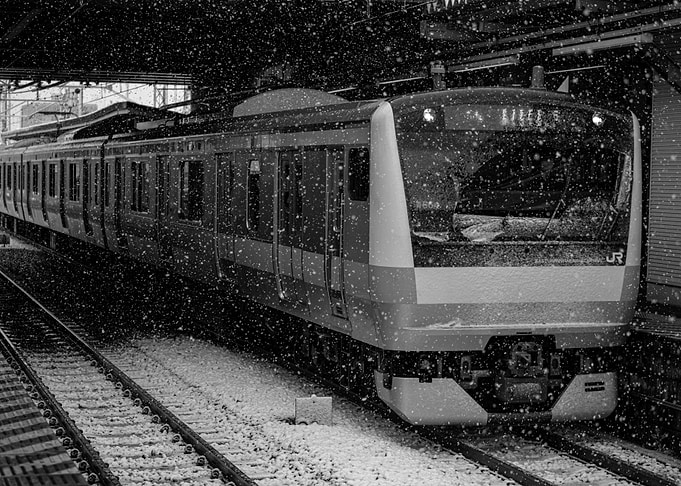 Snow Train