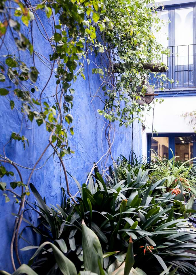 blue yard wall with green