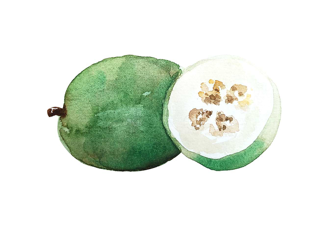 Fruit