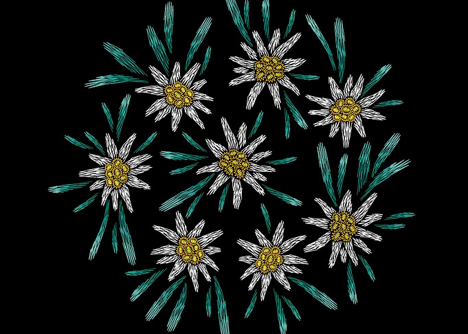 EmbroideredFlow onBlack 09