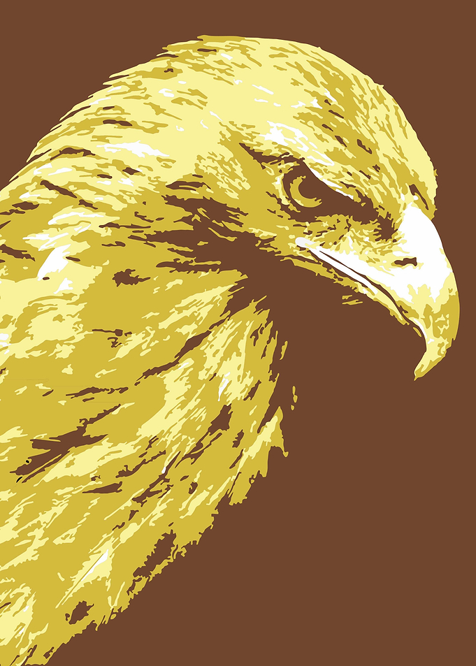 Eagle Pop Art v7