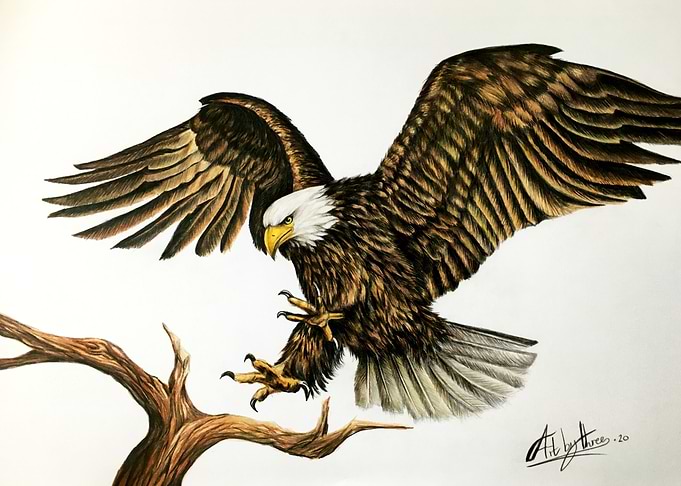 The Eagle Has Landed